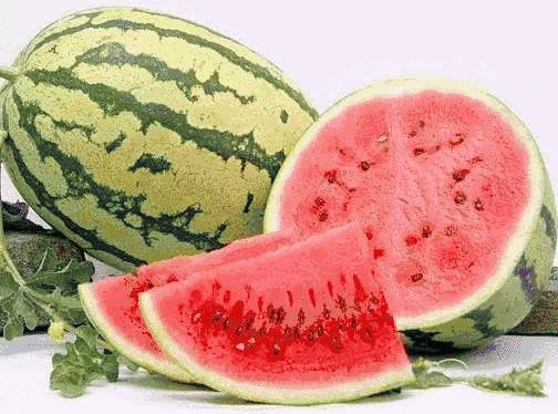 宁夏，任务完成与技能学习详细指南（初学者与进阶用户适用）